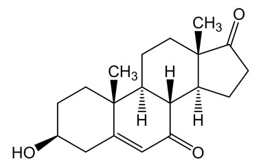 PA PHY 003975