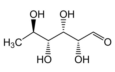 PA PHY 003983