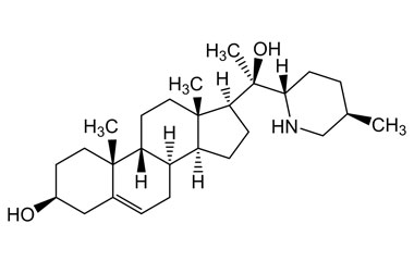 PA PHY 003987