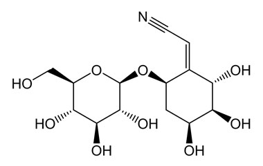 PA PHY 003997