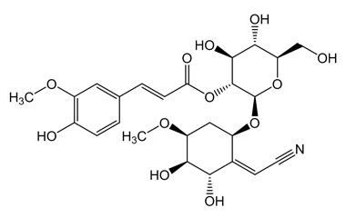 PA PHY 003998