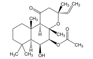 PA PHY 003999