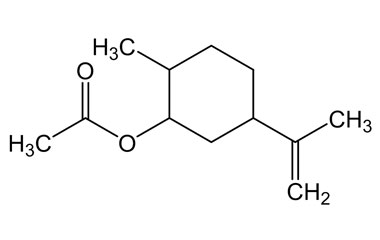 PA PHY 004004