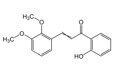 PA PHY 004026