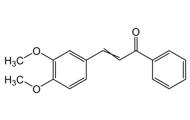 PA PHY 004030