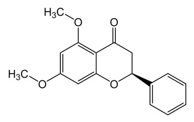 PA PHY 004032