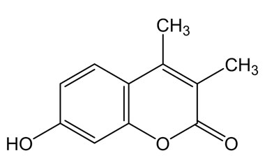 PA PHY 004039