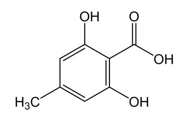 PA PHY 004057