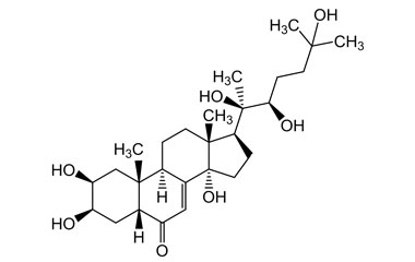 PA PHY 004059