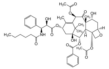 PA PHY 004072