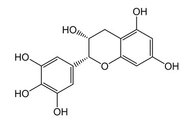 PA PHY 004073