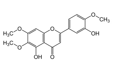 PA PHY 004100