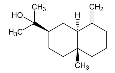 PA PHY 004111