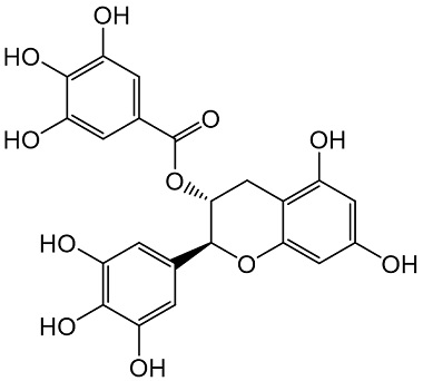 PA PHY 004143