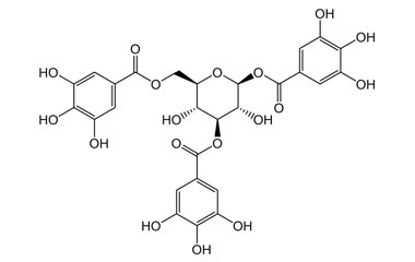 PA PHY 004144