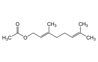 PA PHY 004158