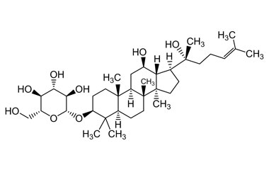 PA PHY 004165