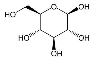 PA PHY 004183