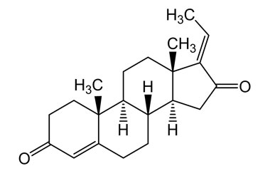 PA PHY 004205