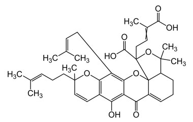 PA PHY 004208