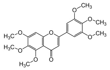 PA PHY 004234