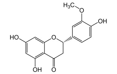 PA PHY 004245