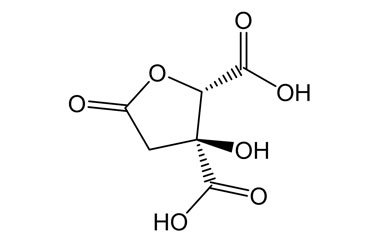 PA PHY 004261