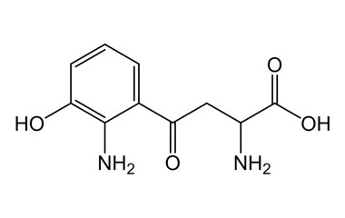 PA PHY 004275