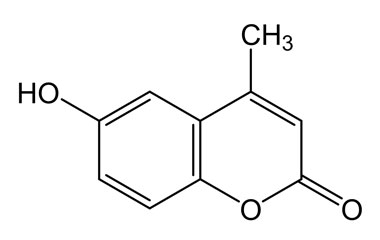 PA PHY 004277