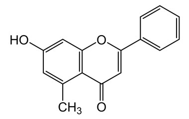 PA PHY 004278