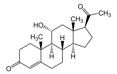 PA PHY 004282