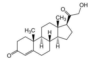 PA PHY 004284