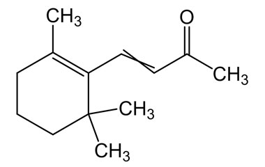 PA PHY 004303