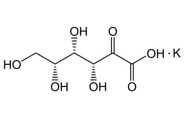 PA PHY 004359