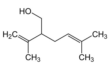 PA PHY 004372