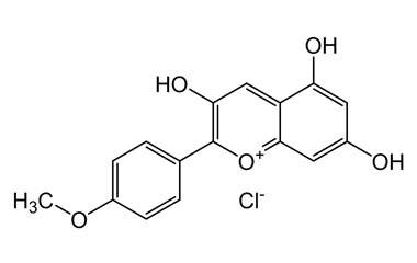 PA PHY 004422