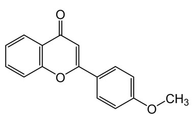 PA PHY 004430