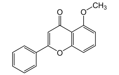 PA PHY 004431