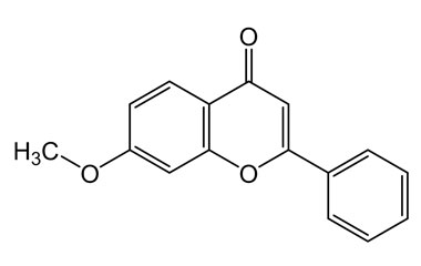 PA PHY 004433