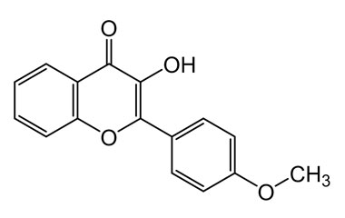 PA PHY 004434