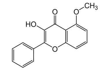 PA PHY 004435