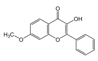 PA PHY 004437