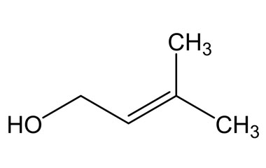 PA PHY 004444