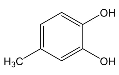 PA PHY 004448