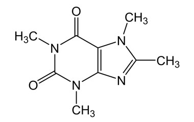 PA PHY 004449