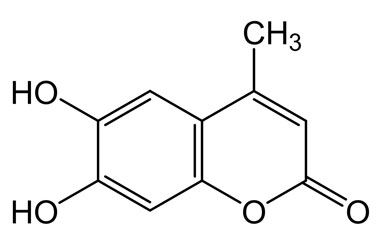 PA PHY 004451