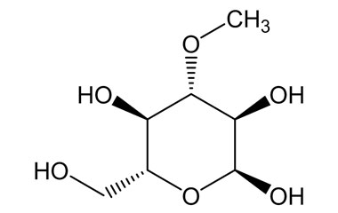 PA PHY 004457