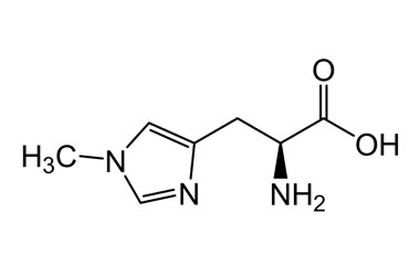 PA PHY 004461