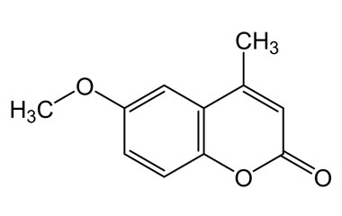 PA PHY 004464