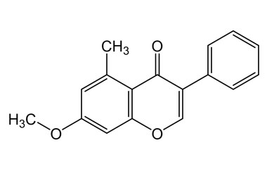 PA PHY 004465